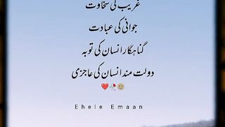WhatsApp  Status