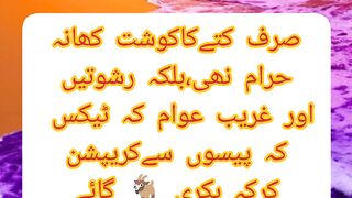 اسلامی معلومات واسلامی واقعات حرام اور حلال کہ پہچان