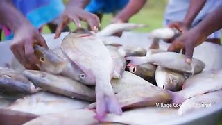 FISH OMELETTE - Emperor Fish Omelette Recipe Cooking In Village - Steamed Fish Recipe