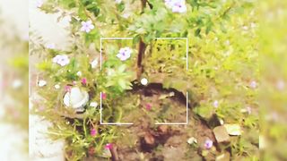 Beautifull follow