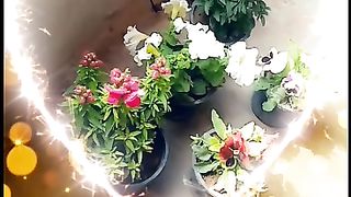 so buttifull flowers