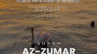 Az Zumar