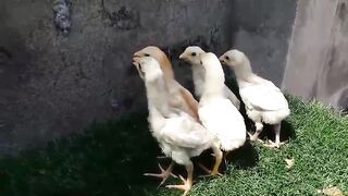 Bahut khushqismat ho