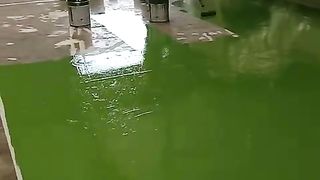 Flour pintar in.qatar