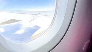 Cute Kitty Is a Calm Plane Passenger