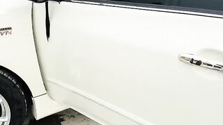 GLi car beauty