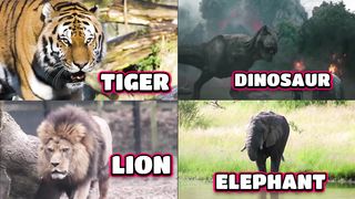 Animal Name And There Sounds For Kids | Kids Learning |Educational Video |