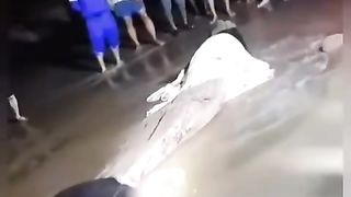 WTF is going on Here