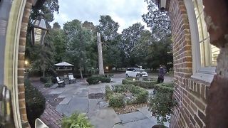 Doberman Puppy Smacks Into Glass Door