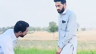 Funny video