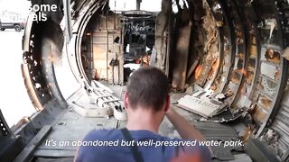 Amazing animal rescues