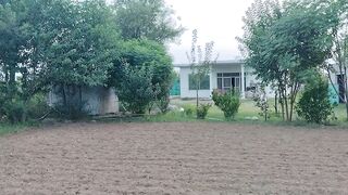 Farming
