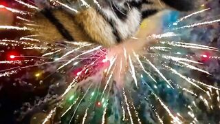 Happy new year 2023 | Amazing video