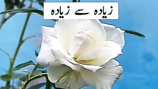 رسول،پاکﷺنےفرمایا
