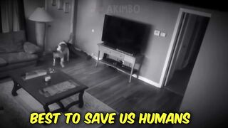 hero animal save human lives