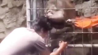 Funny video