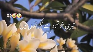 Song video beatuful