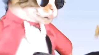 Cat fany