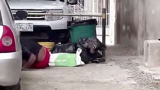 Funny video