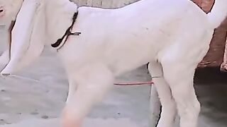 Cute ????????