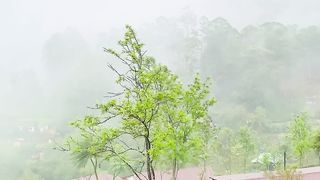 Rainy day