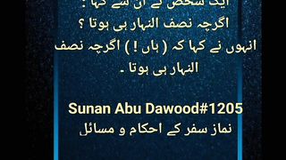 Allah ???? Muhammed ????
