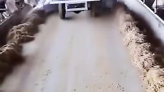 Funny ????????????