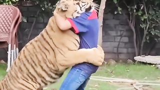 In Style Of My Mamu (Nouman Hassan) Azan Butt Tige