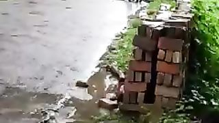 ❤️ সিংহ দাদা ❤️