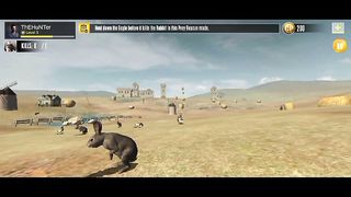 Animal hunting game