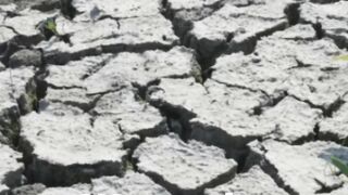 Life Without Water: A Hypothetical Journey
