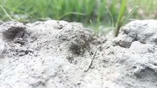Village Life Bangladesh Daily Routine Farmer || Real Life In UP Village || Rural Life India