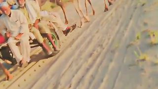 camel walking at Rohi