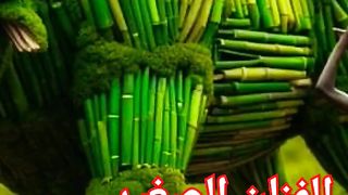 الفنان الصغير يصنع ثور