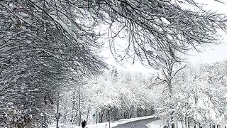 Germany Munich snowfalls ????????