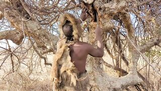 Hadzabe_Harvesting_Honey_From_a_Tree part 1