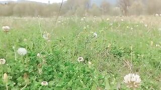 Photographs ???? ???? ???? ????