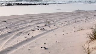 Beautiful view beach Al Sharqiyah