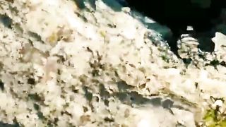 مقتطفات حول العالم ١