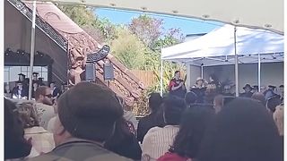 Funy video