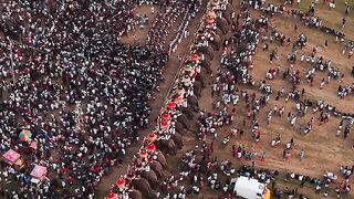 അരുവായി പൂരം 2024