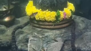 తల్లి చల్లని