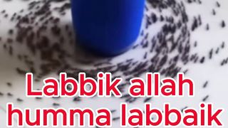 Labbik allah humma labbaik
