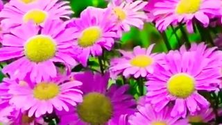 مقتطفات حول العالم ٣