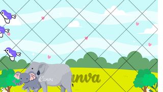 Bird video