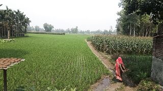 আমেরিকার দরিদ্র এলাকা । আমেরিকার গ্রামীন জীবন । Rural life of America
