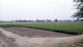 How look Pakistani village. Pakistani villager lifestyle.