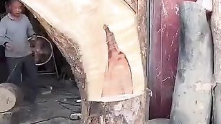 الفن التشكيلي