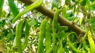 مقتطفات حول العالم ٥