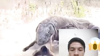 Ga kira kira Sekali lahap itu kambing